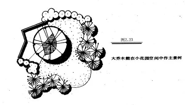 干货 | 庭院植物打造，营造十足空间感