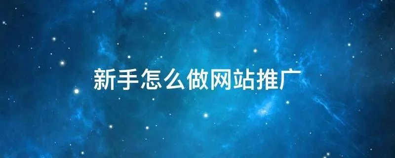 新手怎么做网站推广
