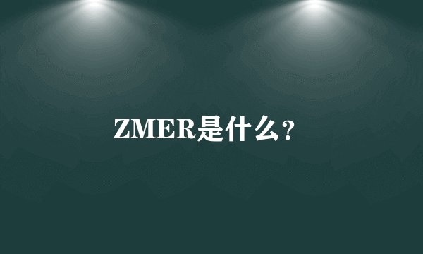 ZMER是什么？