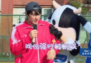 林更新现在为什么那么火？