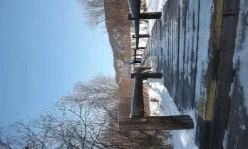 综艺大哥大张帝毛毛歌台上女嘉宾都是谁