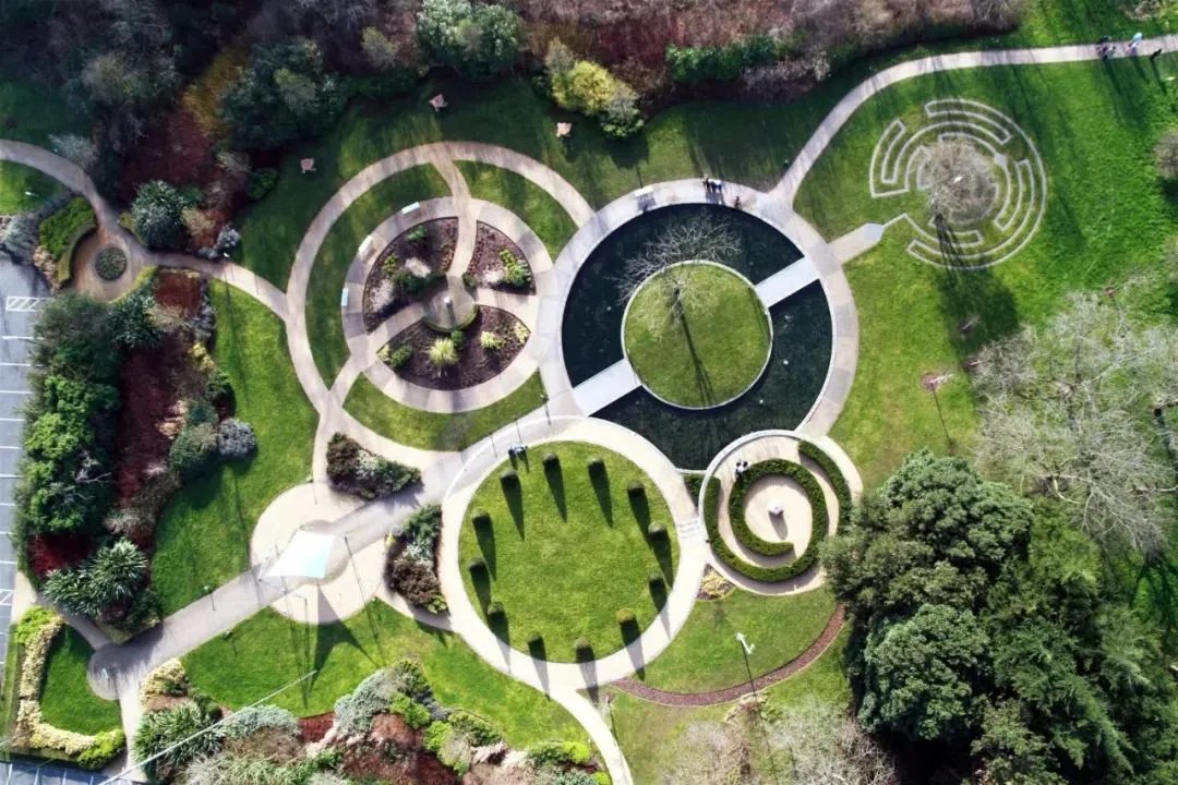 干货 | 庭院植物打造，营造十足空间感