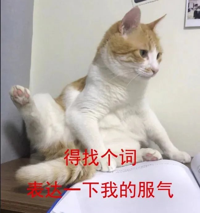 双11狂欢升级！2019猫晚顾家又C位全场了！