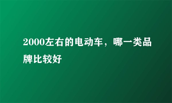 2000左右的电动车，哪一类品牌比较好