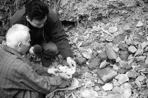 古瓷器鉴定技巧与拍卖市场行情