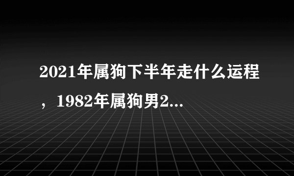 2021年属狗下半年走什么运程，1982年属狗男2021年运势及运程
