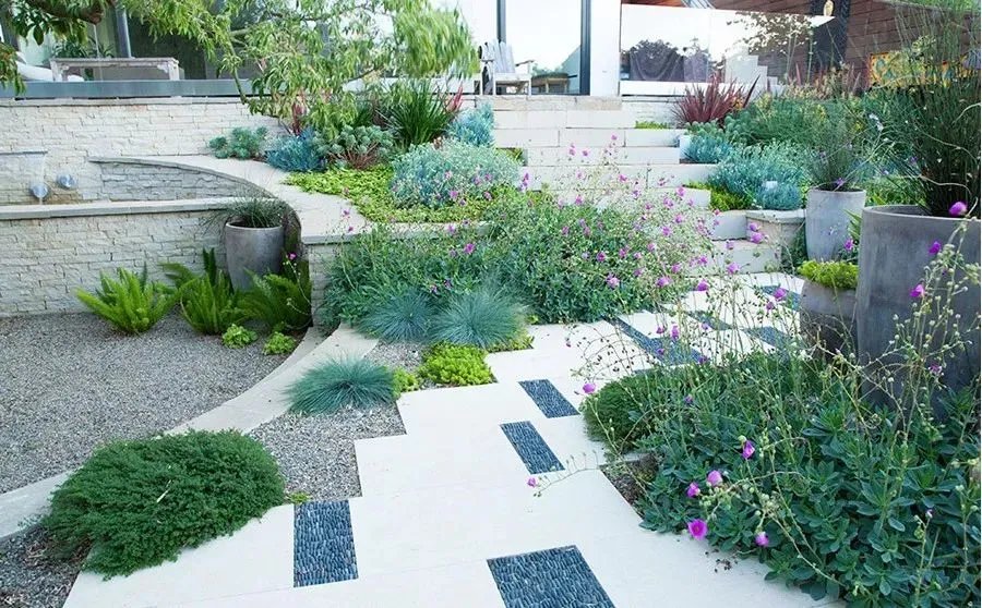 干货 | 庭院植物打造，营造十足空间感