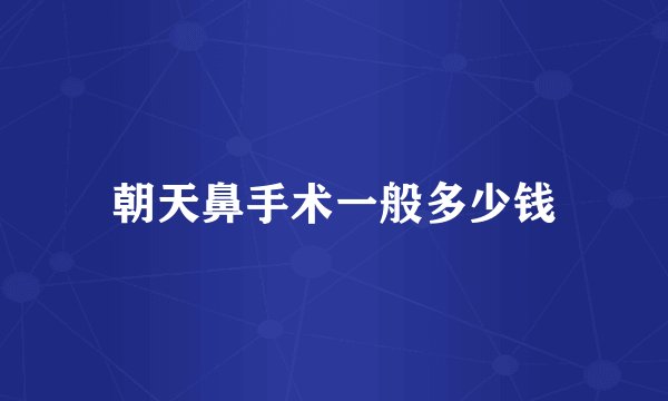 朝天鼻手术一般多少钱