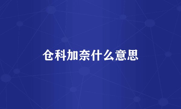 仓科加奈什么意思