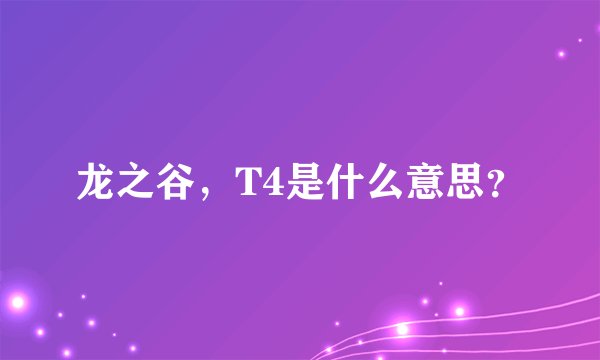龙之谷，T4是什么意思？
