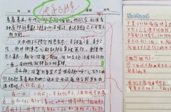 小学生疑因作文被批“传递负能量”后坠亡！老师错了吗？