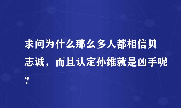 求问为什么那么多人都相信贝志诚，而且认定孙维就是凶手呢？