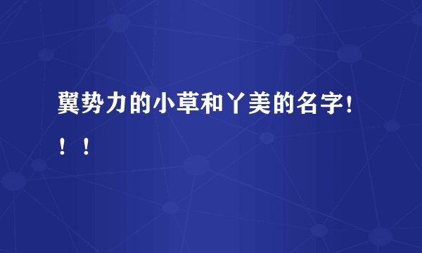 翼势力的小草和丫美的名字！！！