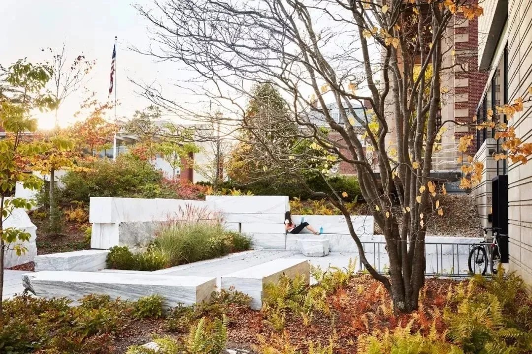 干货 | 庭院植物打造，营造十足空间感