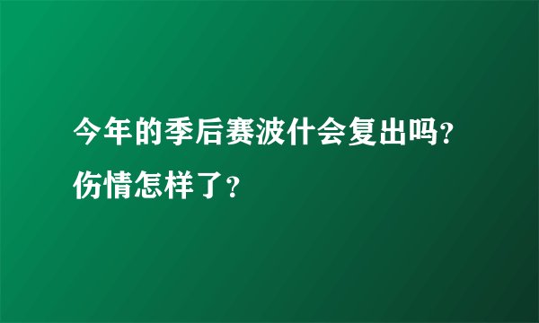 今年的季后赛波什会复出吗？伤情怎样了？