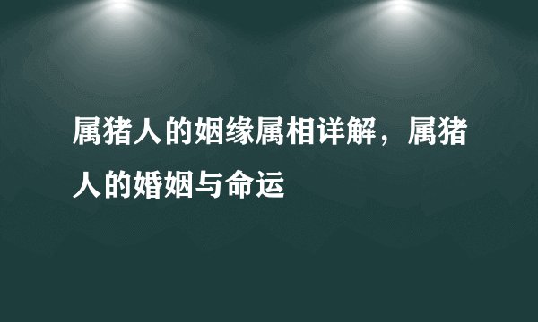 属猪人的姻缘属相详解，属猪人的婚姻与命运