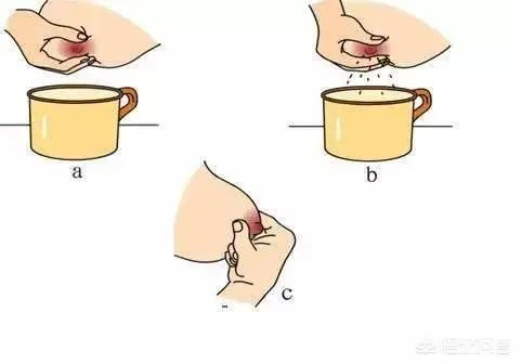 新妈妈如何正确的挤奶？