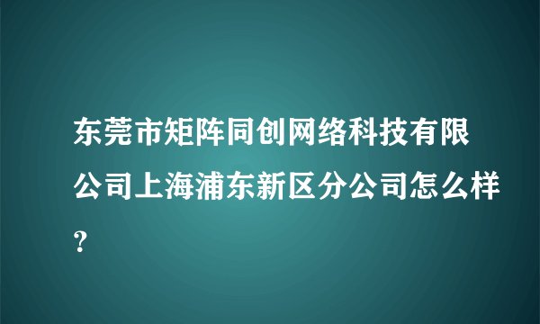 东莞市矩阵同创网络科技有限公司上海浦东新区分公司怎么样？