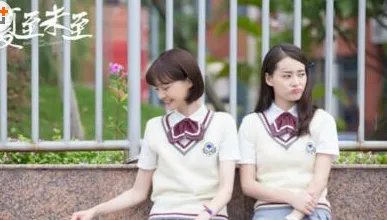 夏至未至大结局番外