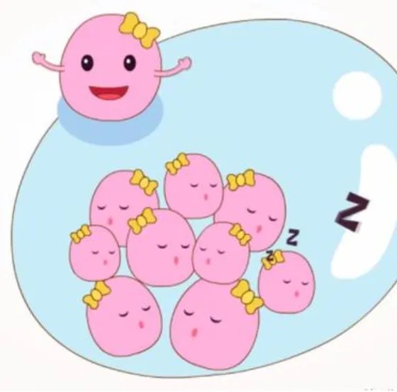 天津试管助孕-天津市供卵试管婴儿医院排行榜，天津市妇幼保健院能做试管吗？