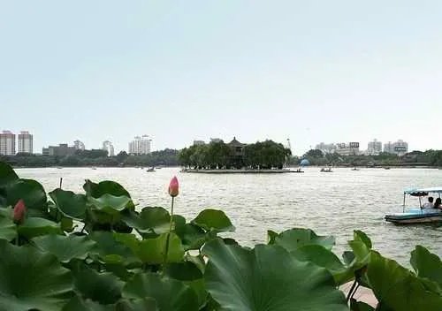 趵突泉和大明湖的资料