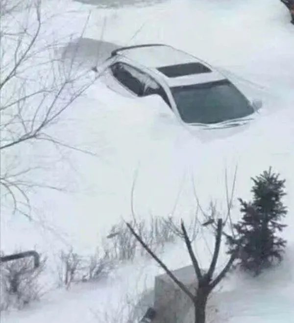 近年来最大的雪？