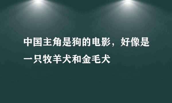 中国主角是狗的电影，好像是一只牧羊犬和金毛犬