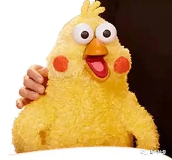 有个鸡的表情包那个鸡叫什么