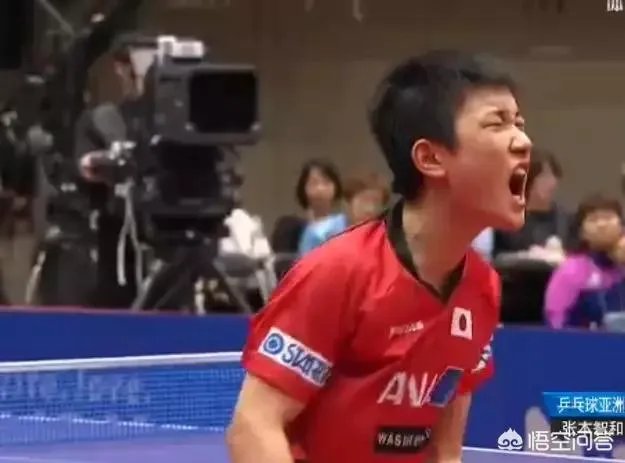 华裔兄妹虎视眈眈，欲来华参加乒超联赛，偷师学艺遭拒绝。你怎么看？
