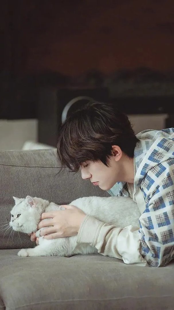 怎么找到想要看的电视剧？