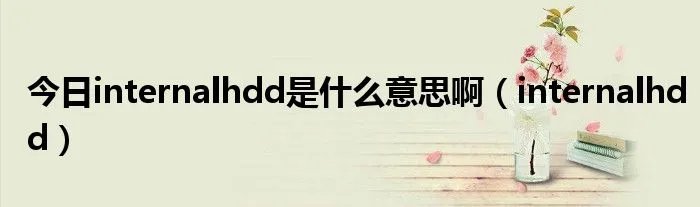 今日internalhdd是什么意思啊（internalhdd）