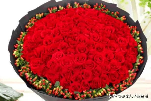 情人节送多少朵玫瑰？
