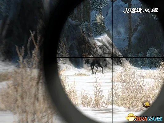 坎贝拉野外冒险2010图文攻略 全关卡玩法教程