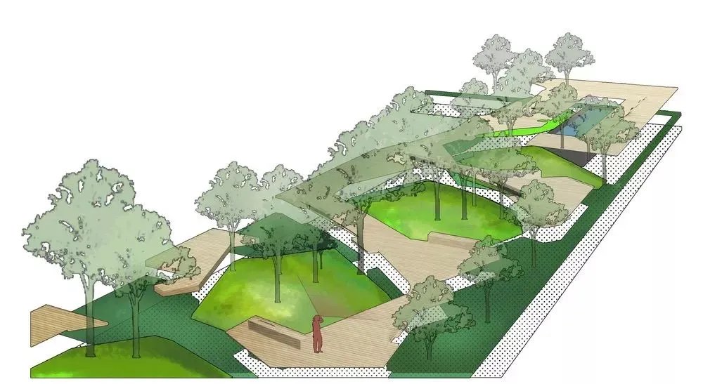 干货 | 庭院植物打造，营造十足空间感