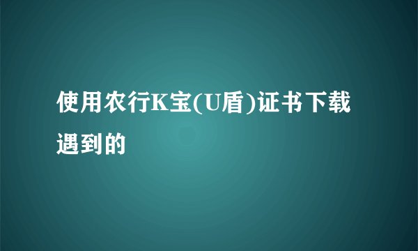 使用农行K宝(U盾)证书下载遇到的問題