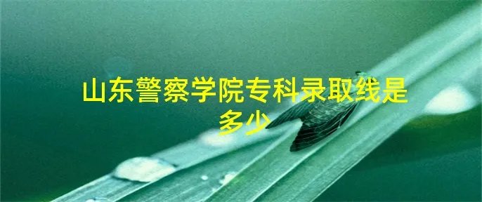 山东警察学院专科录取线是多少