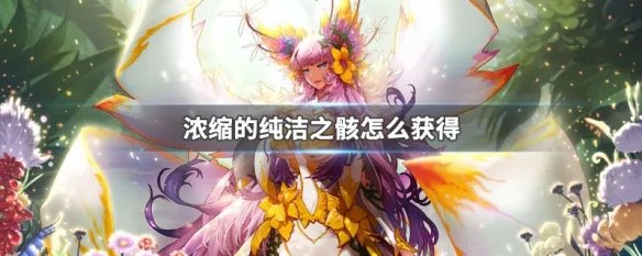 浓缩的纯洁之骸怎么获得