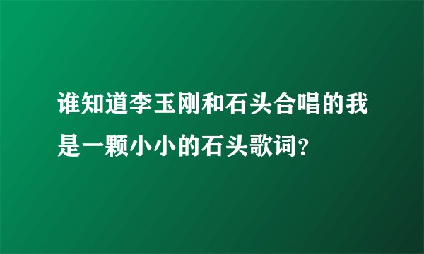 谁知道李玉刚和石头合唱的我是一颗小小的石头歌词？