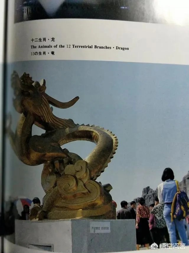 那英微博简介内地流行乐天后