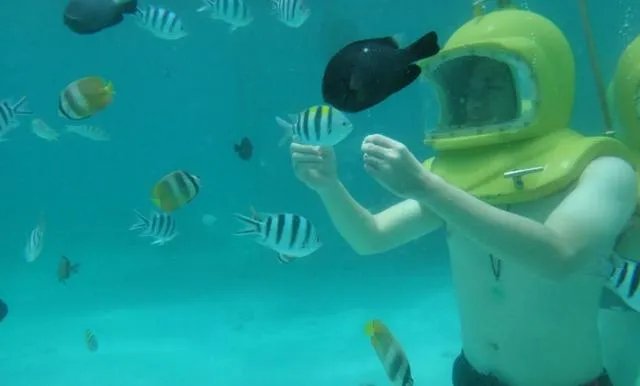 52岁中国游客泰国海底漫步溺亡事件，你怎么看？