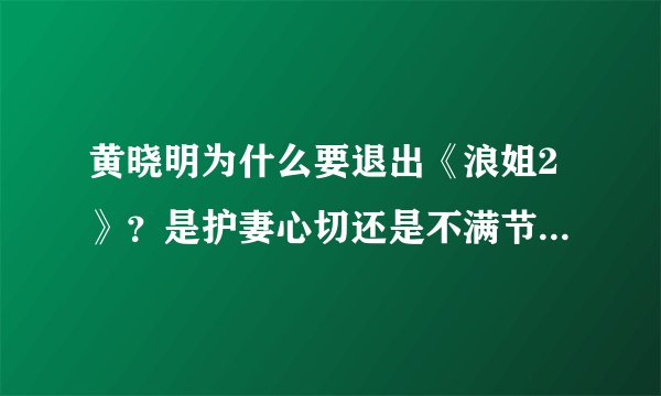 黄晓明为什么要退出《浪姐2》？是护妻心切还是不满节目组炒作？