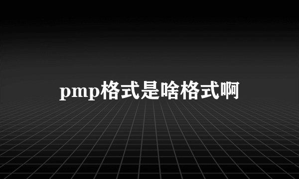 pmp格式是啥格式啊