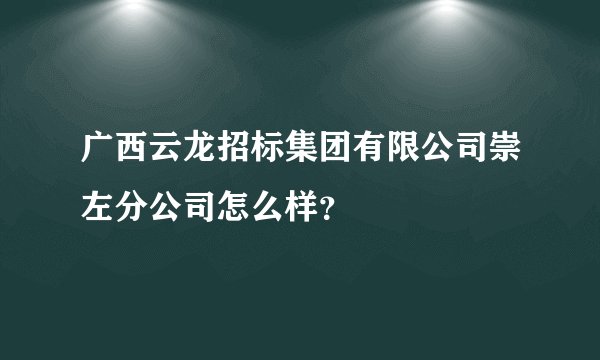 广西云龙招标集团有限公司崇左分公司怎么样？