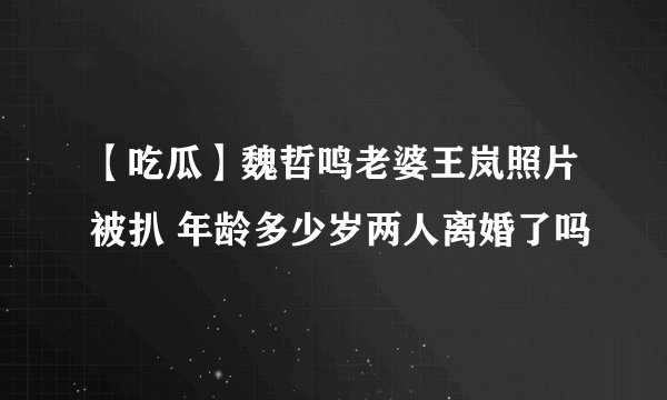 【吃瓜】魏哲鸣老婆王岚照片被扒 年龄多少岁两人离婚了吗