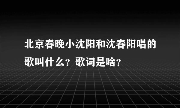 北京春晚小沈阳和沈春阳唱的歌叫什么？歌词是啥？