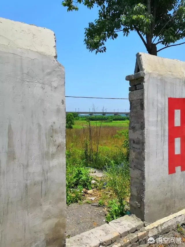 拆迁征地上种菜被推平，大妈报警维权要求赔偿被拒绝，怎么办？