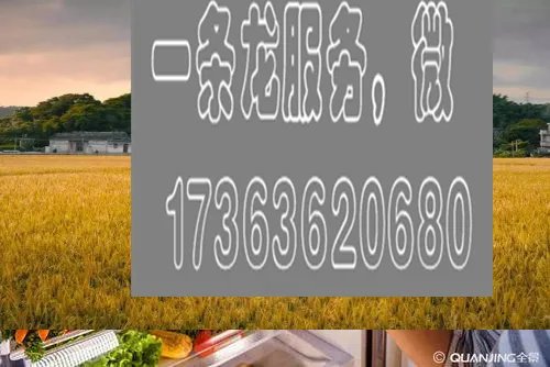 谁有当年上海大学生圆圆的高清全套原图，谢谢！