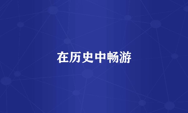 在历史中畅游