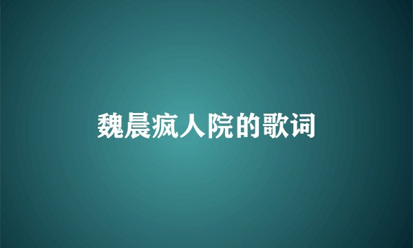 魏晨疯人院的歌词