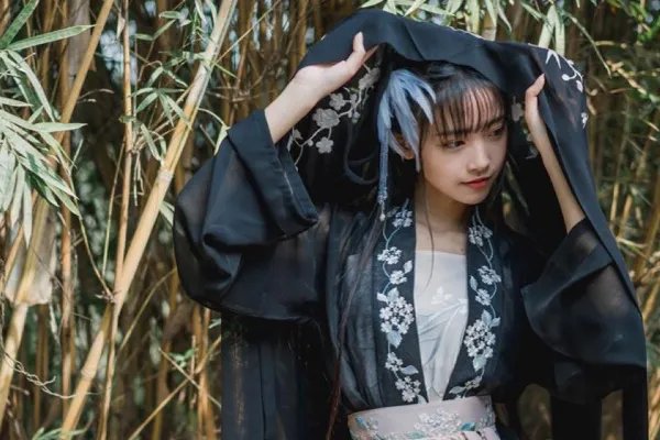 刘阳出轨对象半藏森林道歉，这个女孩究竟是何来历？